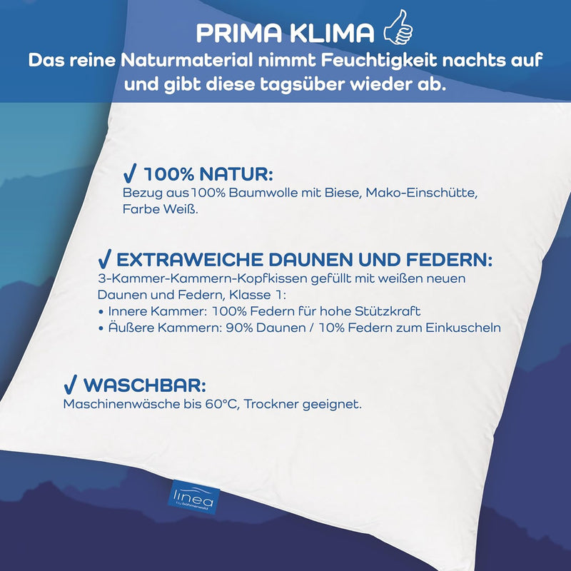 Böhmerwald Exclusiv Dreikammer-Kopfkissen, aussen: 90 % Daunen / 10 % Federn, innen: 100% Federn, Fü