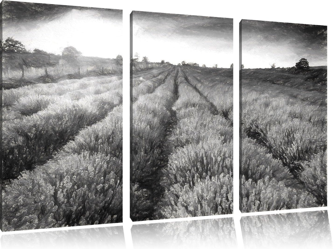 Pixxprint Lavendelfeld in Frankreich / 3-Teilig/Gesamtmass 120cm Leinwandbild bespannt auf Holzrahme