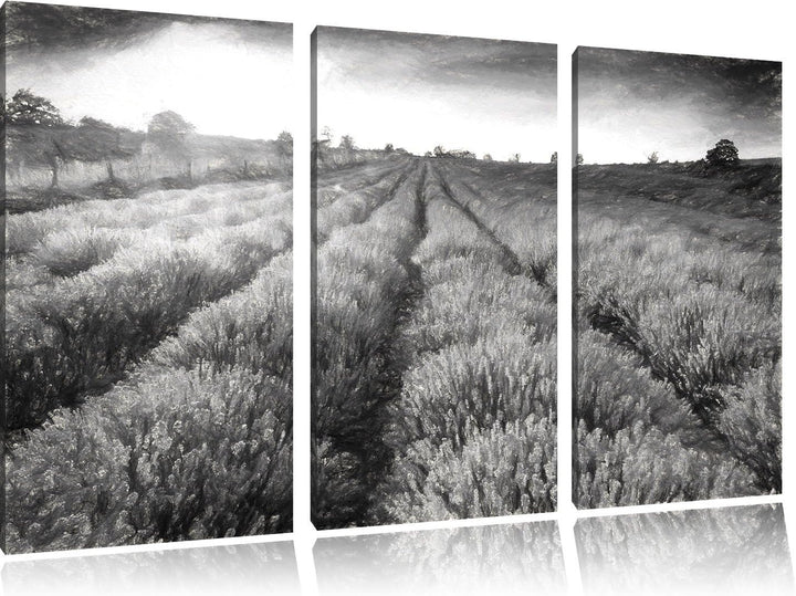 Pixxprint Lavendelfeld in Frankreich / 3-Teilig/Gesamtmass 120cm Leinwandbild bespannt auf Holzrahme