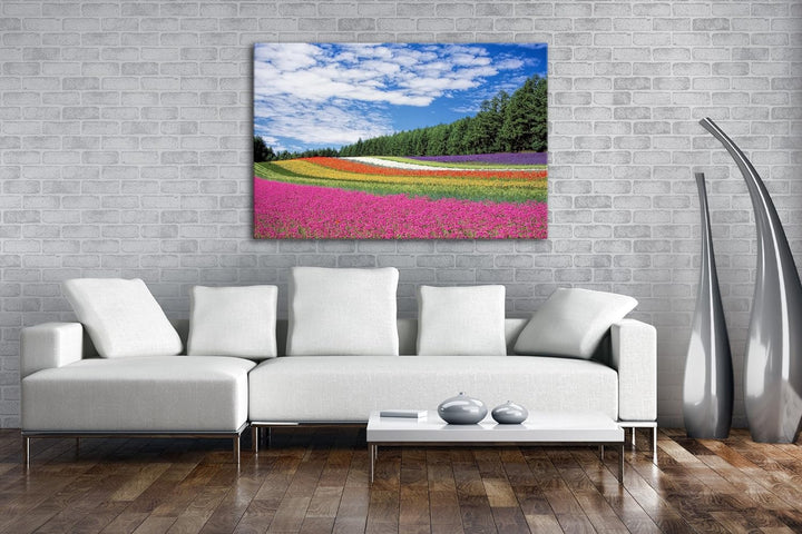 deyoli buntes Blumenfeld Format: 80x60 als Leinwandbild, Motiv fertig gerahmt auf Echtholzrahmen, Ho