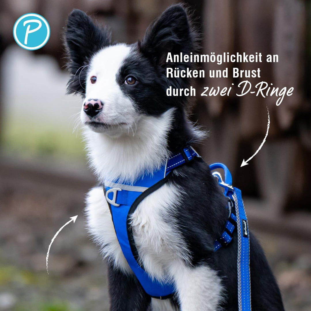 Petlando Hundegeschirr Outdoor – stark reflektierend, gepolstert, atmungsaktiv, robust, stufenlos ve