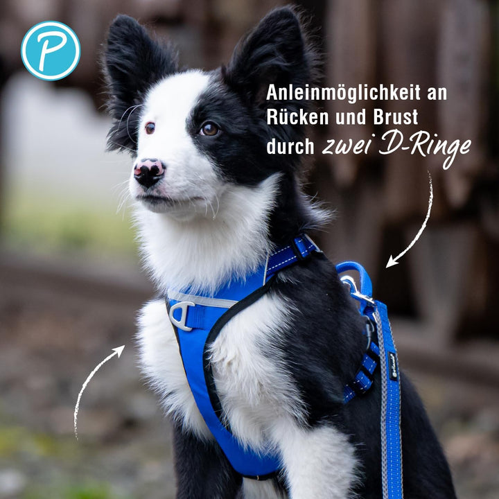 Petlando Hundegeschirr Outdoor – stark reflektierend, gepolstert, atmungsaktiv, robust, stufenlos ve