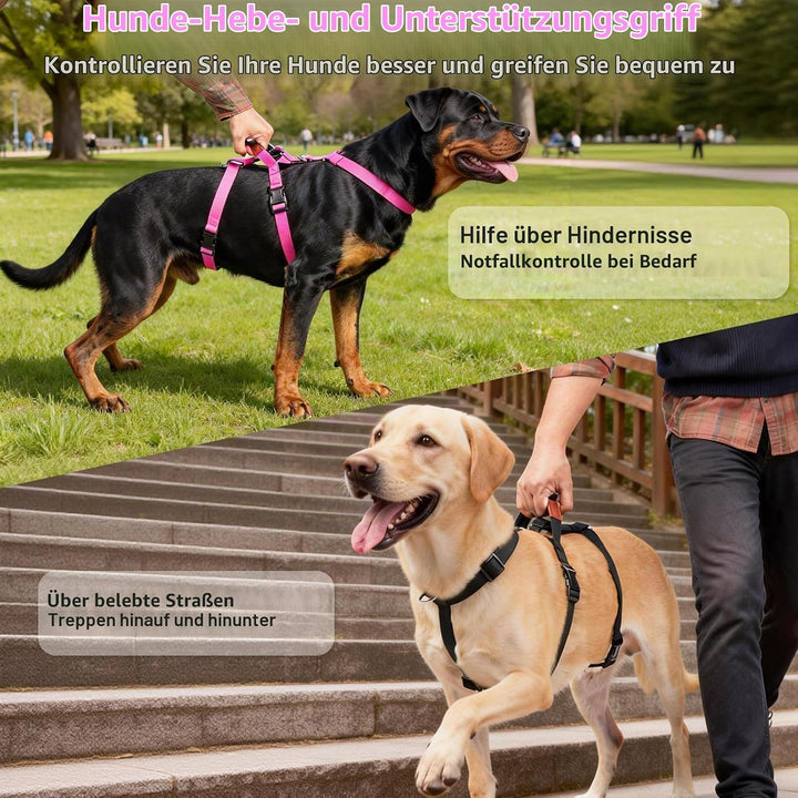 Hundegeschirr Ausbruchsicher, Anti Zug Sicherheitsgeschirr Hund, Verstellbare Brustgeschirr mit Grif