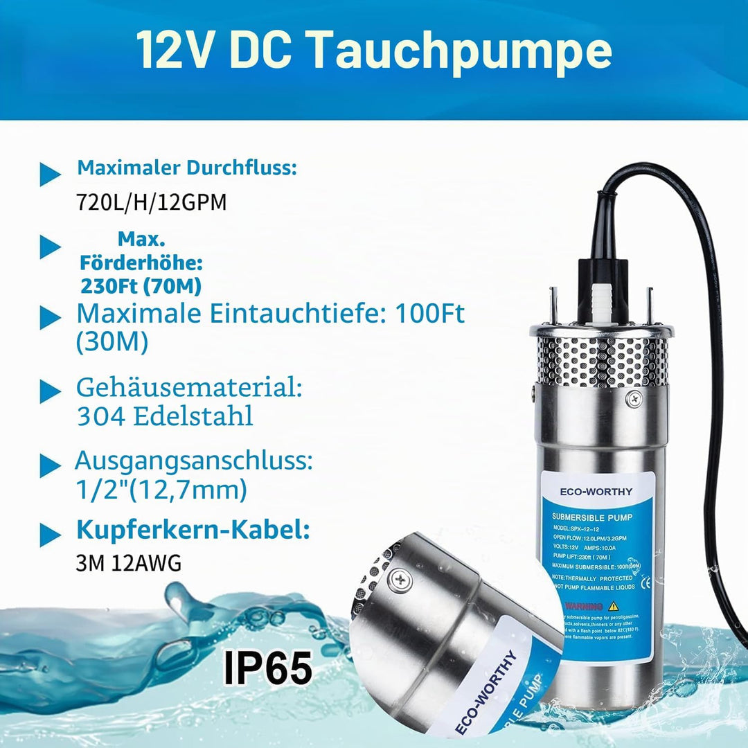 DCHOUSE 200W Solar Tiefbrunnen-Tauchpumpen Kit mit 12V Solarwasserpumpe + 2 STÜCKE 100W Solarpanel 1