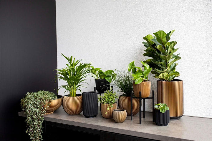 Capi Europe - Gefäss Kugel Groove Black & Gold - 12x10 - Schwarz - Blumentopf für drinnen - CAPI Ind