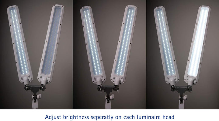 MAUL LED Arbeitsleuchte MAULcraft duo | Dimmbare Klemmlampe mit 6.500 Kelvin | LED Lampe mit 2 flexi
