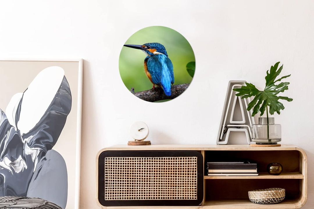 MuchoWow Wandbild Rund Wanddeko Deko Wohnzimmer Bilder 30x30 cm Eisvogel - Zweig - Blau, 30x30 cm