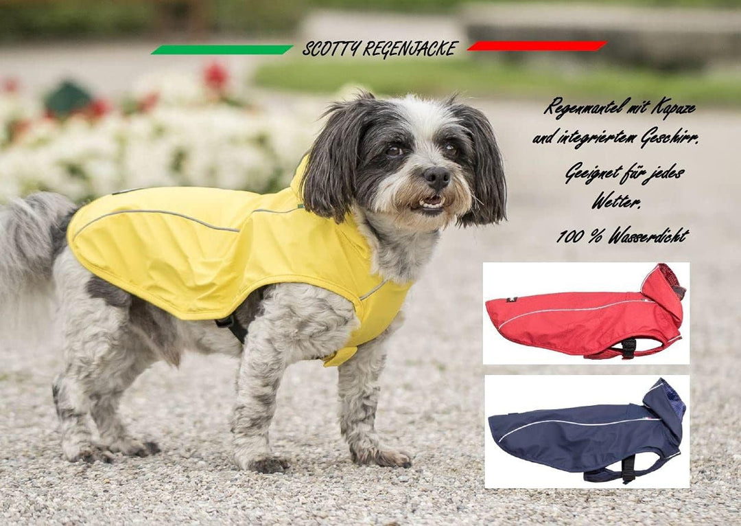 CHIARA Scotty Regenjacke mit Geschirr CHJ-Y1811BL-S-CHIARA-Regenmantel, Regencape (Grösse: S, Materi