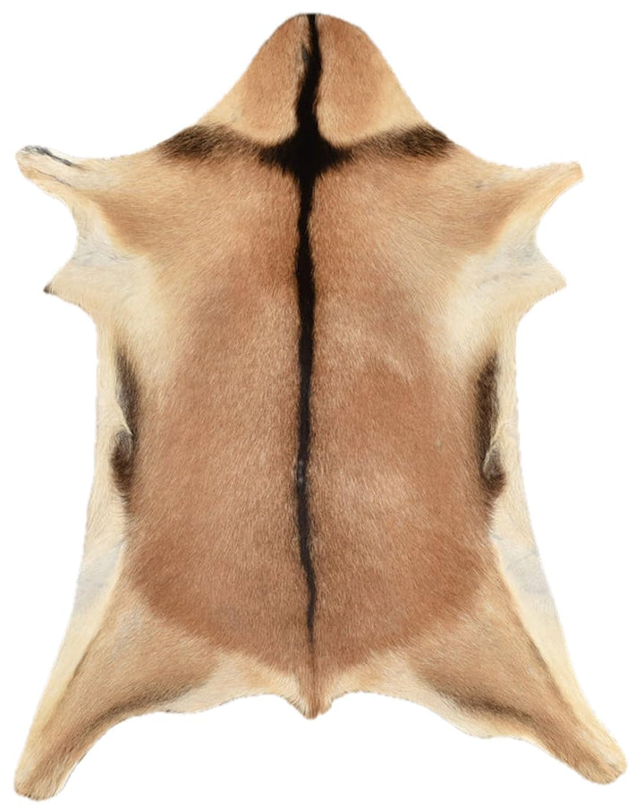 generisch Ziegenfell Beige Hellbraun ca.. 80 x 60 cm echtes Ziegen Fell Deko Fell von KUHFELLE ONLIN