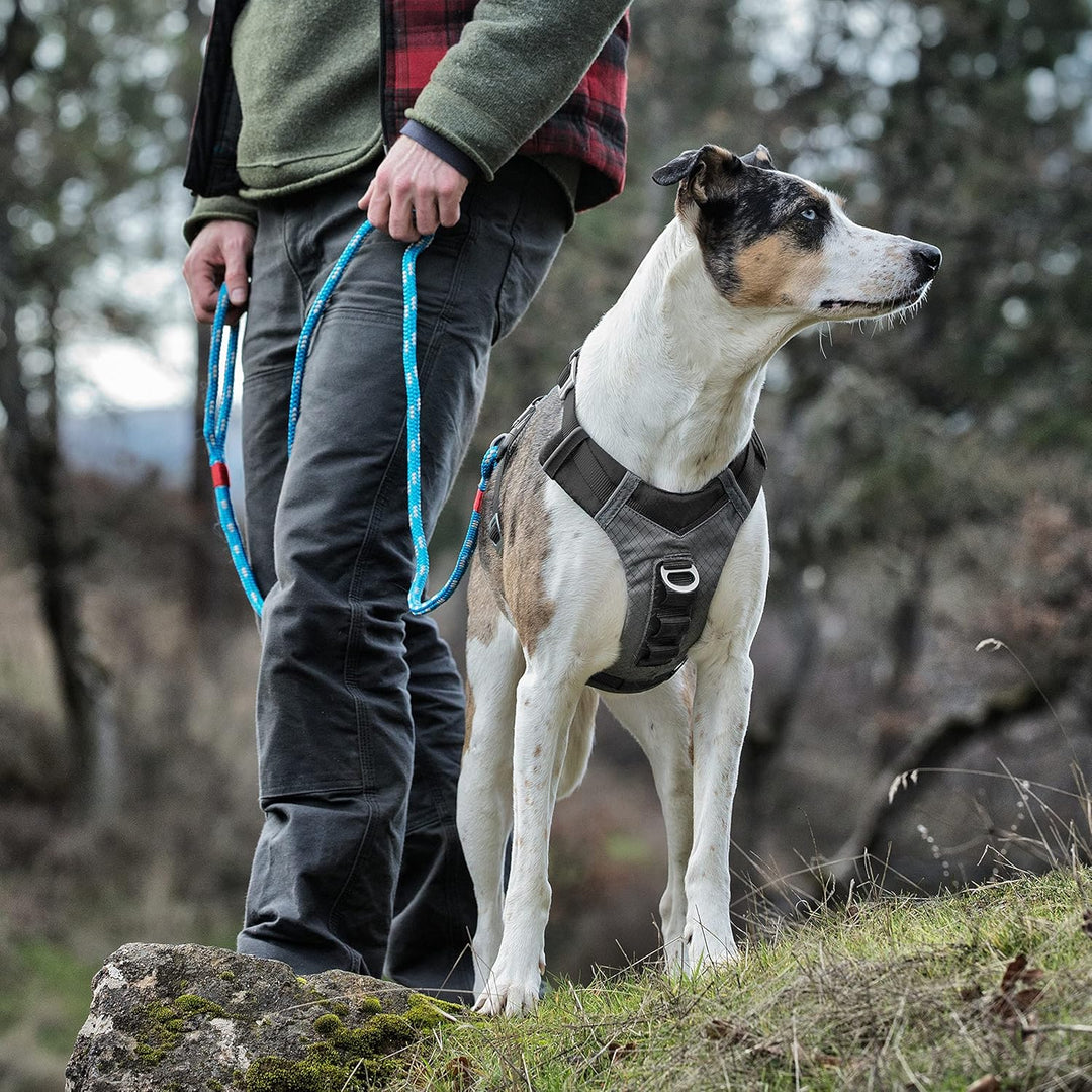 Kurgo Journey Air Hundegeschirr, Mit gepolstertem Brustteil und Rückgriff, Für Hunde von 11-23 kg, G