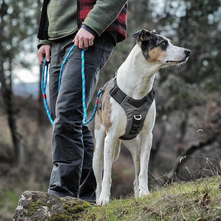 Kurgo Journey Air Hundegeschirr, Mit gepolstertem Brustteil und Rückgriff, Für Hunde von 11-23 kg, G