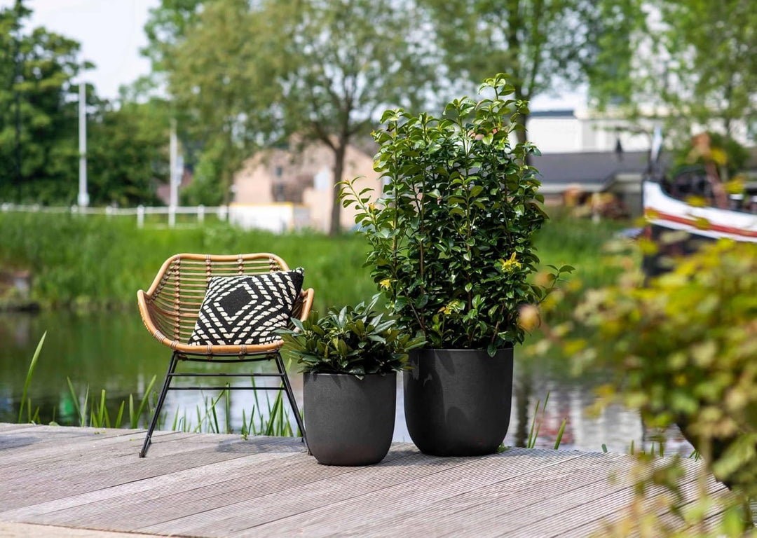 Capi Europe - Blumentopf Kugel Smooth NL - 43x41 - Schwarz - Öffnung Ø35 - Blumentopf für den Innen-
