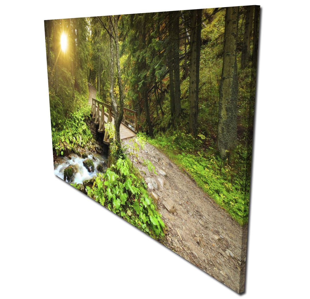 wandmotiv24 Garderobe Waldweg mit Bach Querformat - 69x40 (BxH) - Leinwand Wandgarderobe, inklusive