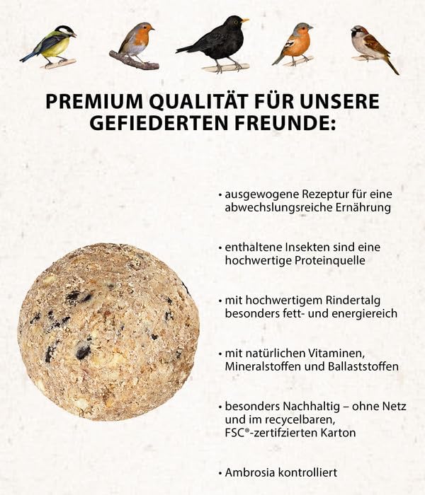 Dehner Natura Wildvogelfutter, Meisenknödel, Insekten-Knödel, ohne Netz, 100 Stück je 90 Gramm (9 kg