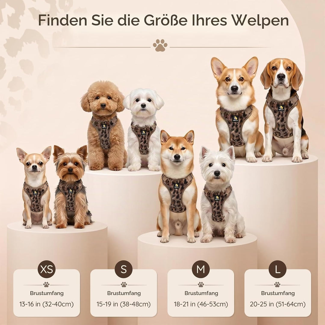 BELLA &amp; PAL Hundegeschirr mit Leine Set, Step-in Geschirr für Welpen/kleine/mittelgrosse Hunde, weic