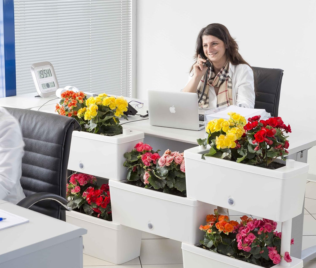 Bama Nässestop S18 Garten Modular Brick Pflanzgefässe, 59 x 23 x 27 cm Cremefarben, Cremefarben