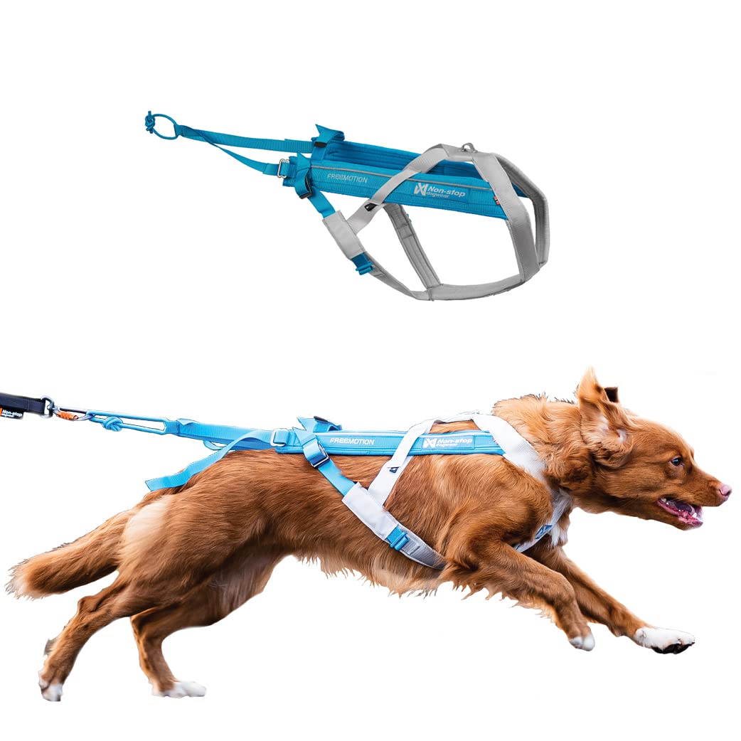 Freemotion Harness 5.0 Parent Listing (Blue/Gray, 5) Blue / Gray 5, Blue / Gray 5