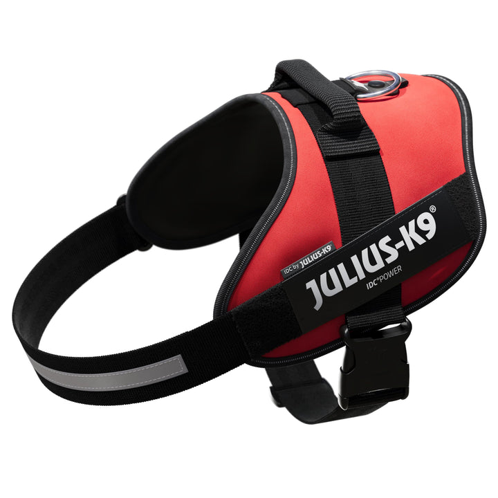 JULIUS K-9 IDC Powergeschirr, Grösse: 2XL / 3, Rot, 16IDC-R-3 Rot 2XL/3, Rot 2XL/3