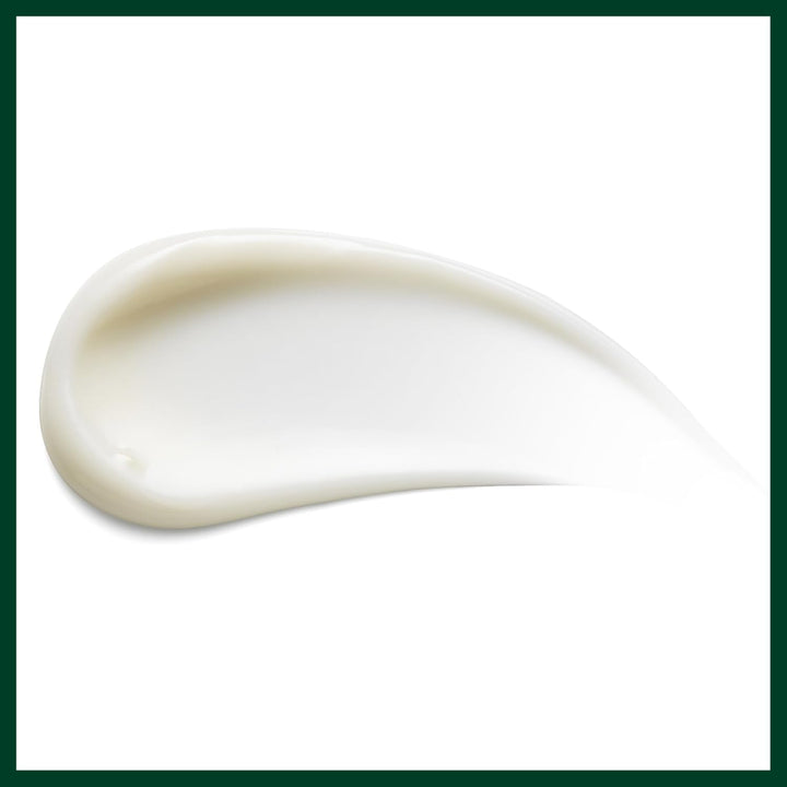 AVEDA Shampure Body Lotion, 200 ml Olive 200 ml (1er Pack), Olive 200 ml (1er Pack)