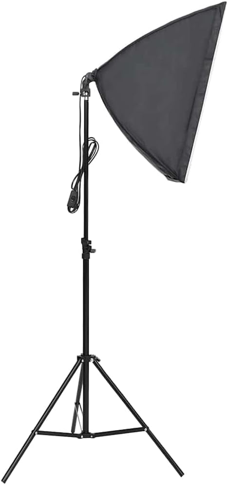 vidaXL Professionelle Studioleuchte 60x40 cm, Studiobeleuchtung Set, Softbox, Studioleuchte, Fotostu