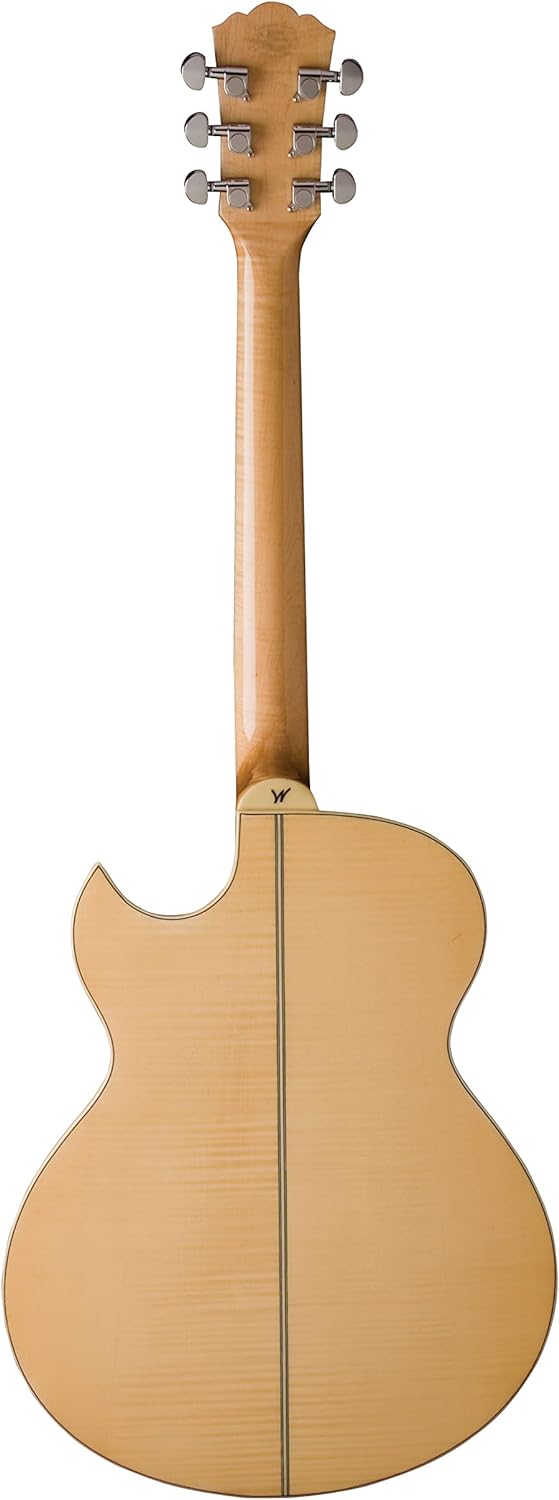 Washburn EA20-A Akustik-E-Gitarre, 6 Saiten, rechts