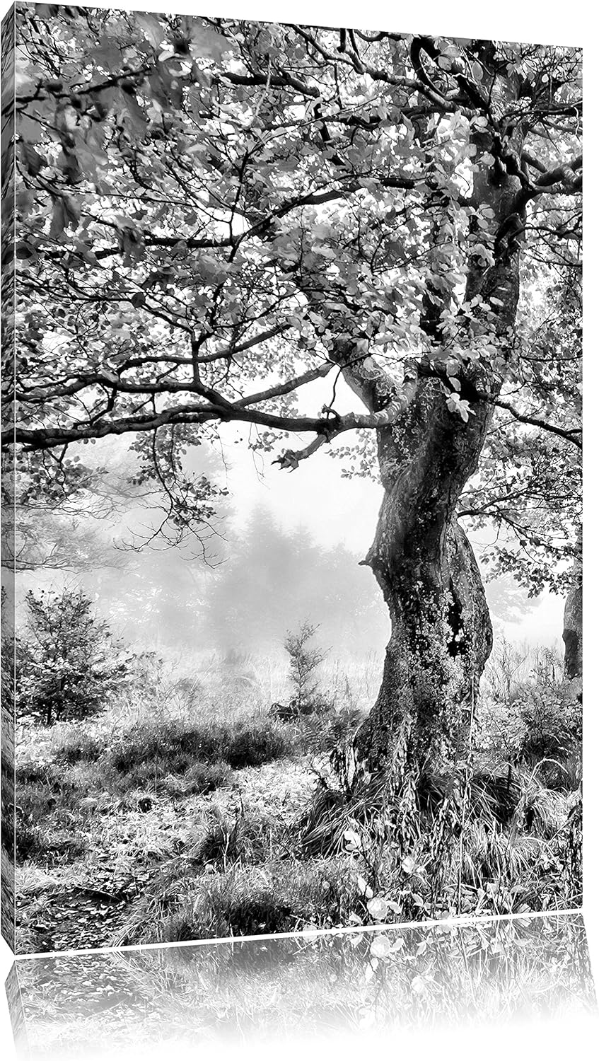 Pixxprint Traumhafte Herbstlandschaft als Leinwandbild/Grösse: 100x70 cm/Wandbild/Kunstdruck/fertig