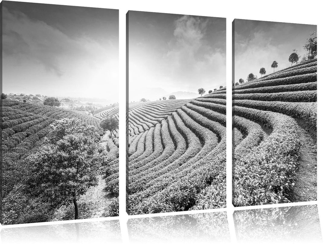 Pixxprint Japanische Treppenfelder Kunst B&amp;W als Leinwandbild | Grösse: 3 Teilig (120x80) | Wandbild