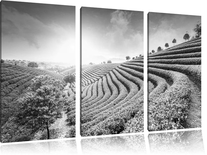 Pixxprint Japanische Treppenfelder Kunst B&amp;W als Leinwandbild | Grösse: 3 Teilig (120x80) | Wandbild