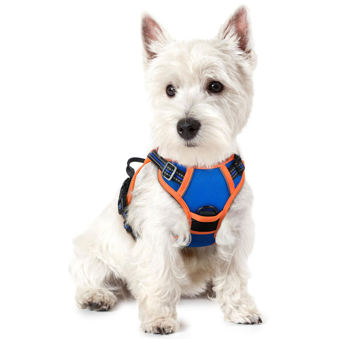 rabbitgoo Hundegeschirr Kleine Hunde Anti Zug Geschirr Hund mit Kontrolle No Pull Verstellbar Hundeg