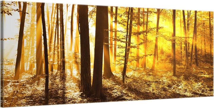 ge Bildet Bild auf Leinwand | Landschaftsbilder - beautiful morning in the forest G in 100x40 cm als