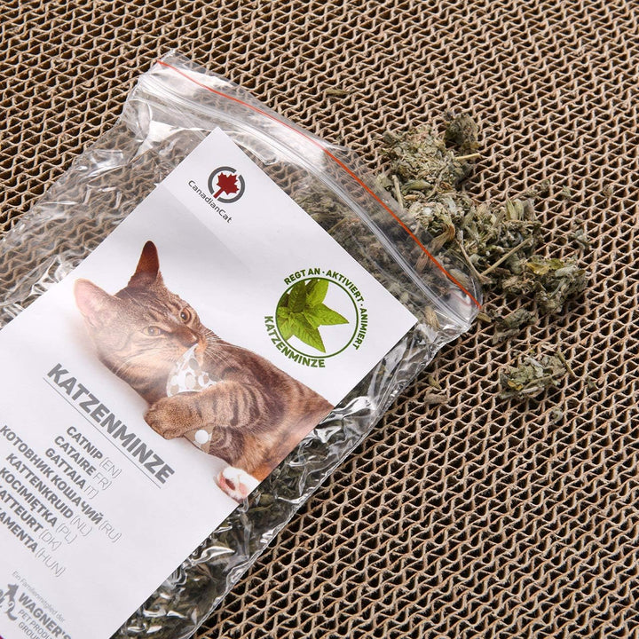 CanadianCat Company | Kratzkarton Comet XL | 75 x 30 x 8 cm | Kratzmöbel, Kratzbrett | XXL Qualitäts