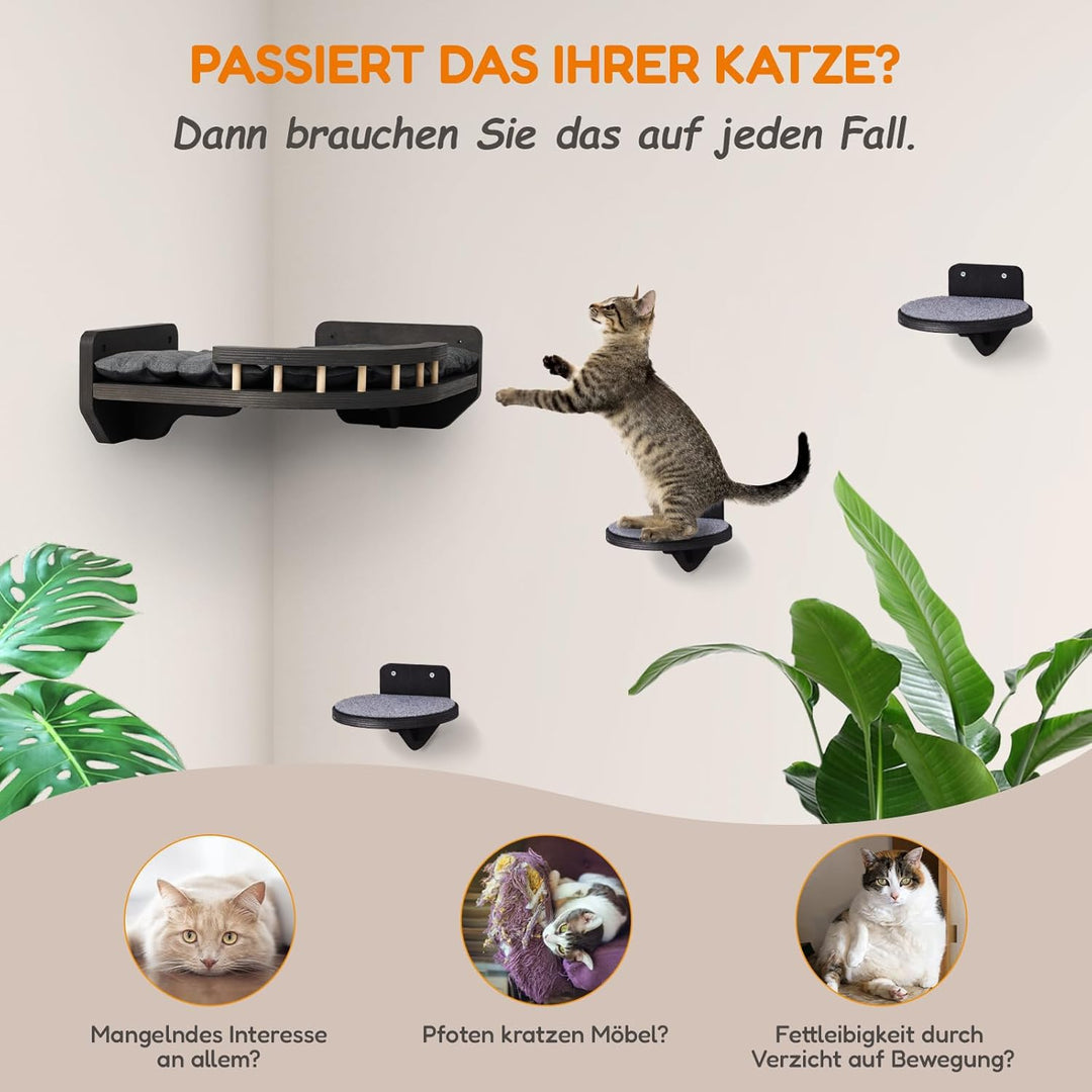 Kletterwand Katzen mit Katzenbett und 3X Katzentreppe Wand [Birkenholz] I Kratzbaum Wand I Hängematt