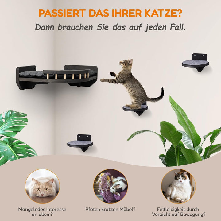 Kletterwand Katzen mit Katzenbett und 3X Katzentreppe Wand [Birkenholz] I Kratzbaum Wand I Hängematt