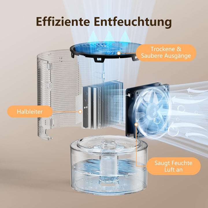 QEXREED 750ml Luftentfeuchter für Zuhause, Schlafzimmer