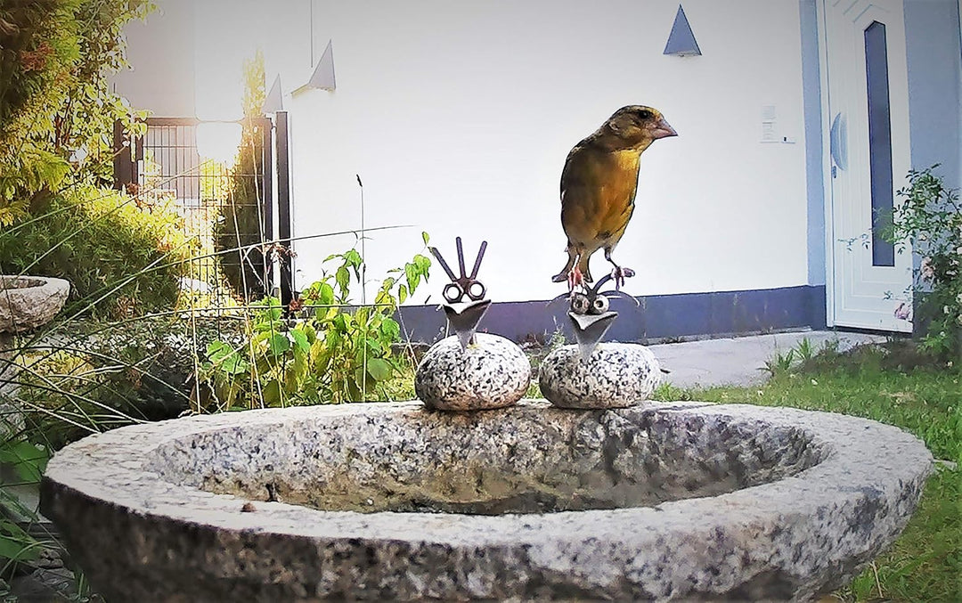 Vogelbad aus Granit mit Fuss (5 Steinvögel am Rand sitzend), 5 Steinvögel am Rand sitzend