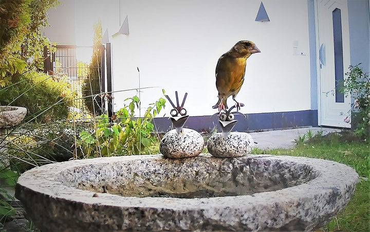 Vogelbad aus Granit mit Fuss (5 Steinvögel am Rand sitzend), 5 Steinvögel am Rand sitzend