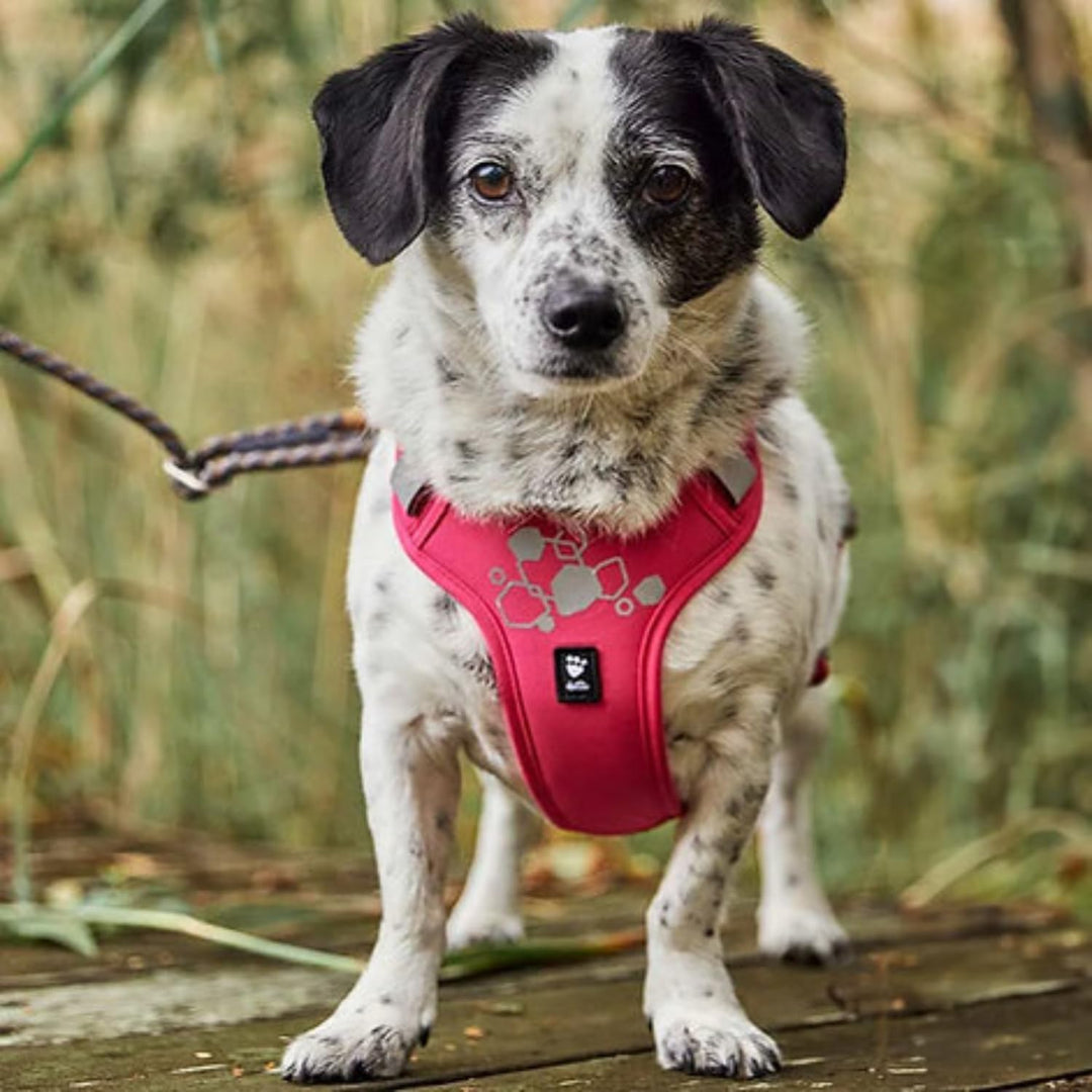 Hurtta Weekend Warrior Hundegeschirr II ECO (Eggplant, lila, 65-80 cm) eggplant, lila 65-80 cm, eggp