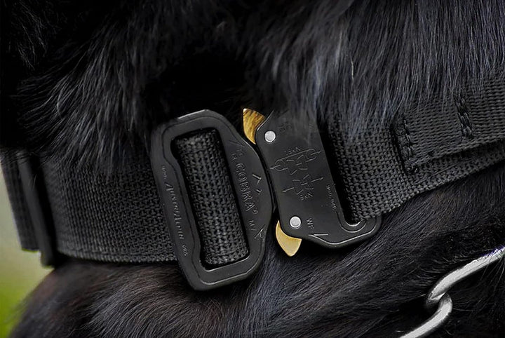 Dingo Gear Hundehalsband mit Cobra Schnalle, Farbe Schwarz,Band Breite 4 cm Länge 45-63 cm S04029 Sc