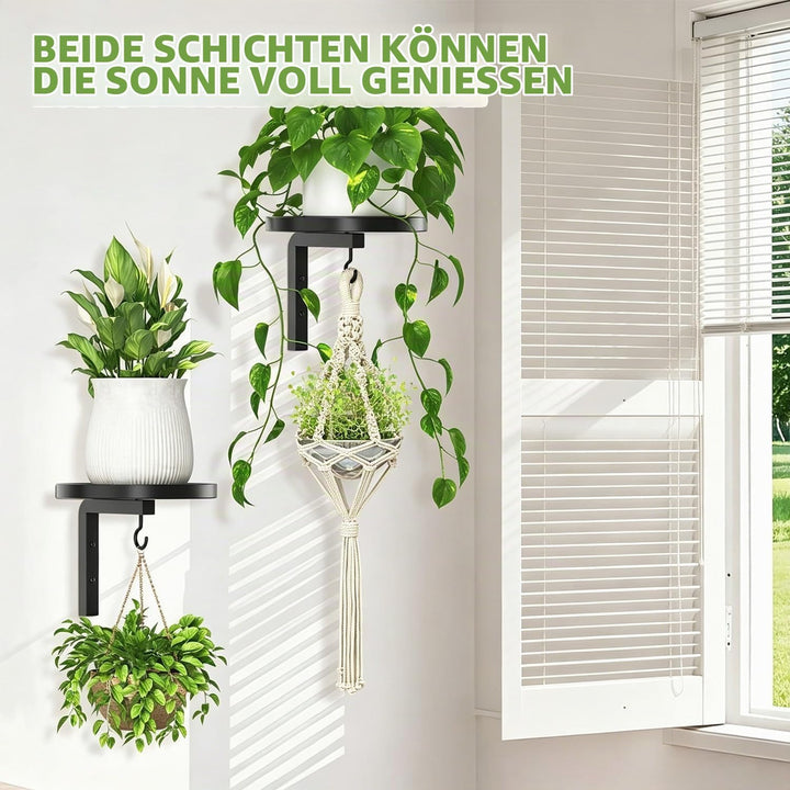 2 Stück Wandbehang Pflanzenständer Metall, 20 cm Pflanzenhalter Wand Metall mit Haken, Pflanzenregal