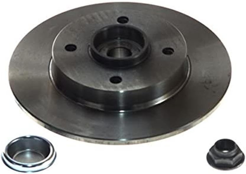 SKF VKBD 1011 Bremsscheibe mit vormontierter Radlagerun