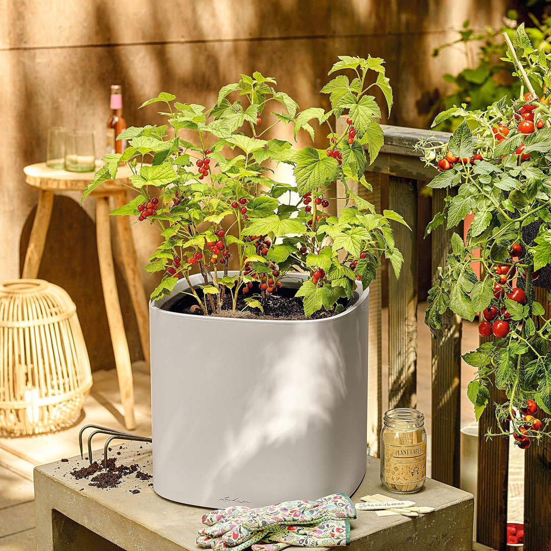 LECHUZA PILA Color Planter lichtgrau 15904 35x35x33 cm Lichtgrau, 35x35x33 cm Lichtgrau