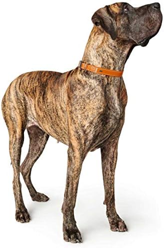 HUNTER Halsung Cannes Alu-Strong Orange XL, Orange XL