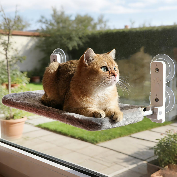 Hängematte Katze Fenster, Katzenhängematte Fenster, Katzen hängematte Fensters, Katzenbett Fensterba