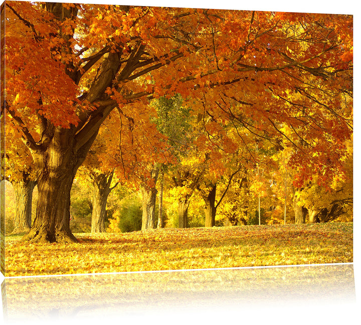 schöne Herbstlandschaft, Format: 100x70 auf Leinwand, XXL riesige Bilder fertig gerahmt mit Keilrahm