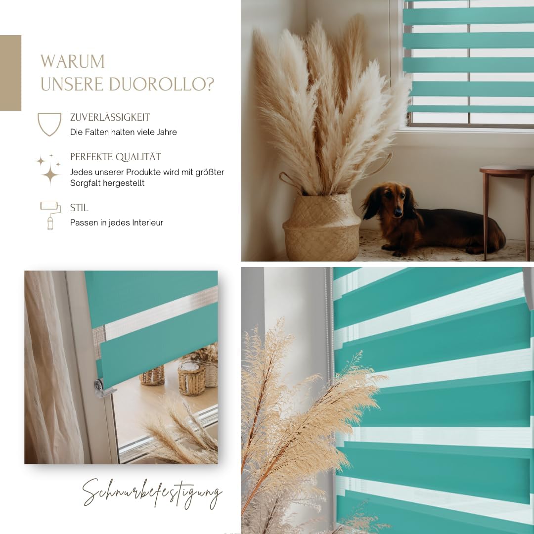 Home-Vision® DuoRollo Klemmfix, Doppelrollo ohne Bohren mit Klämmträgern, Rollos für Fenster und Tür