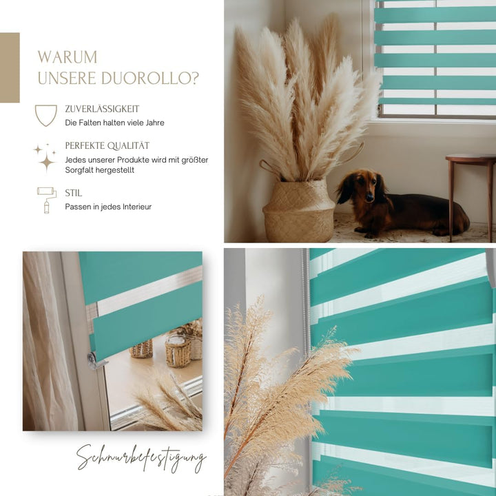 Home-Vision® DuoRollo Klemmfix, Doppelrollo ohne Bohren mit Klämmträgern, Rollos für Fenster und Tür