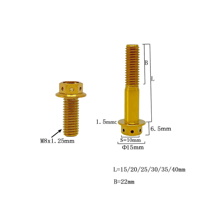 RISON Titanium Bolzen M8x1.25x25mm Titan Flansch Schrauben TC4 Titan Schrauben Sechskantschraube gol