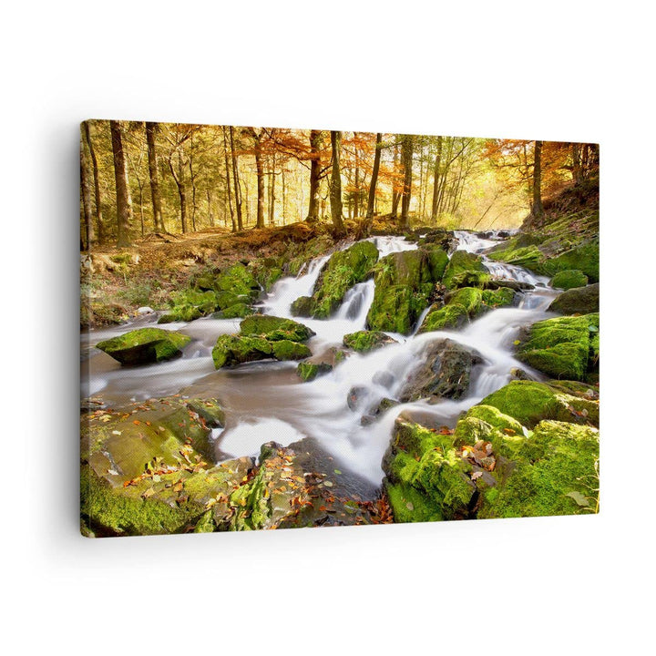 Bilder auf Leinwand Sonne Berg Bach Park Leinwandbild mit Rahmen 70x50cm Wandbilder Dekoration Wohnz