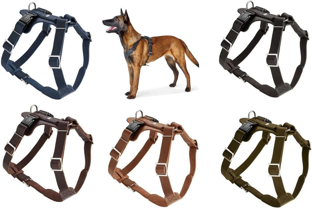 HUNTER Aalborg Hundegeschirr, Leder, M-L/2, schwarz schwarz M-L/2, schwarz M-L/2