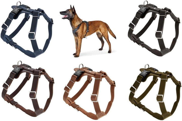 HUNTER Aalborg Hundegeschirr, Leder, M-L/1, Dunkelbraun dunkelbraun M-L/1, dunkelbraun M-L/1